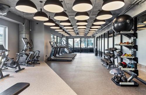 Killgubbin Apartment | River North 1br nr L stop riverwalk loop CHI-1037