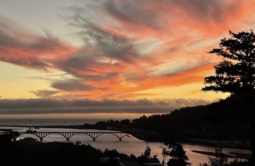 Gold Beach Cabin | River princess cabin 63