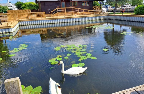 Brundall Cabin | River Rest - sleeps 4 guests in 2 bedrooms