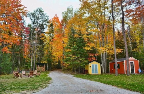 Briley Cabin | River Retreat on Thunder Bay River!