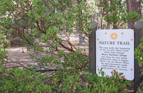 Century West Condo | River Ridge 425ab