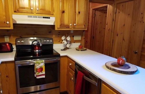 Ellijay Cabin | River's Rest on the Cartecay- Riverfront Cabin