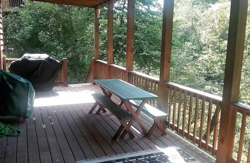 Ellijay Cabin | River's Rest on the Cartecay- Riverfront Cabin