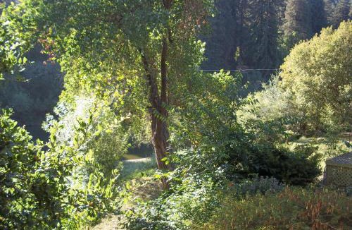 Northwood Hotel | River View Garden Resort