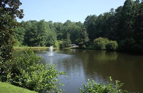 Ellijay House | River View Getaway by 2DC