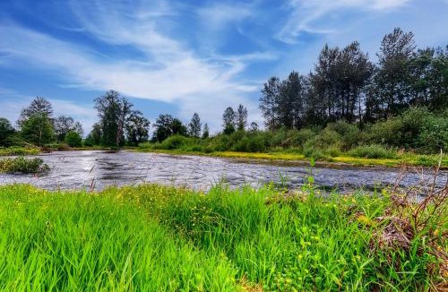 Thurston House | River View House