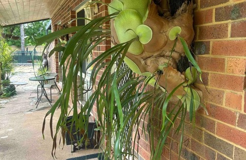 Echuca House | River Village Ranch