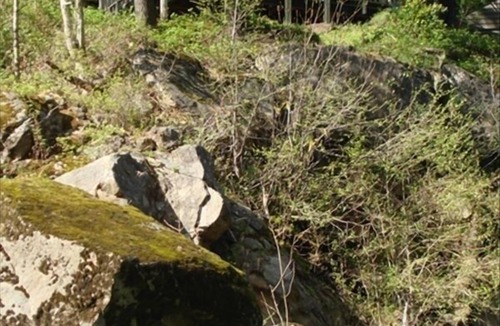 Roseburg House | River Vista Homes: Perfect for Fishing, Swimming, and Relaxing by the Water