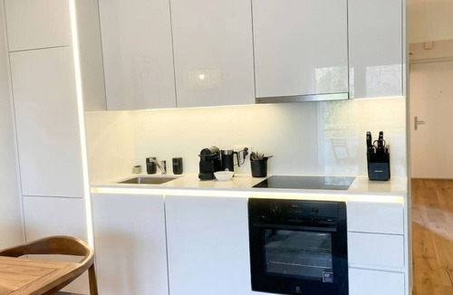 Glattbrugg Apartment | Riverfront 1BR & Balcony | Zurich Airport | WiFi