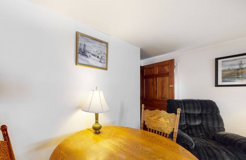 Rochester Apartment | Riverfront apt with river & mtn views, beach access, canoes, hammock, firepit