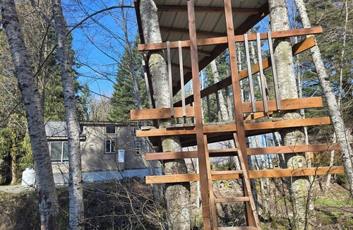 Packwood Cottage | Riverfront Cottage in Packwood - Near Mt Rainier and White Pass - AC - EV Plug