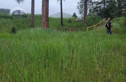 Bonner-West Riverside House | Riverfront Dome on the Clark Fork with private beach