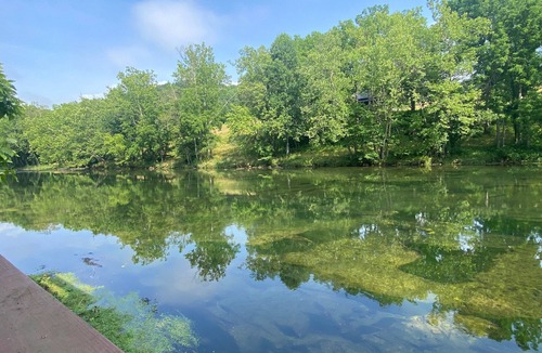 Bluff City House | Riverfront | Pvt Dock | Trout Fishing | Firepit | Hot Tub