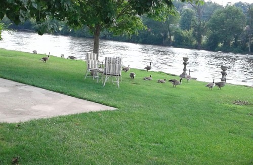 South Elgin House | Riverfront rental