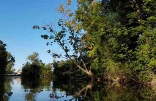 South Rockwood Condo | Riverfront Retreat! #2/Fish/Hunt