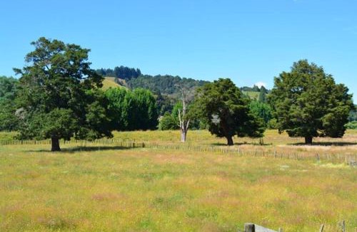 Taumarunui House | Riverlea Cottage - cosy, comfy, quiet, central