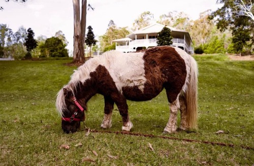 Bowman House | Rivers Edge Cabin by Tiny Away