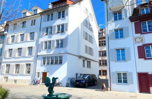 Basel City Centre Apartment | RIVERSIDE - APARTMENTS BASEL deluxe