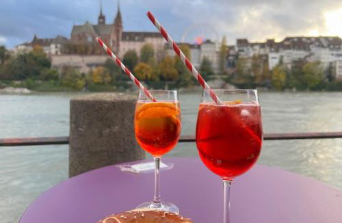 Basel City Centre Apartment | RIVERSIDE - APARTMENTS BASEL deluxe