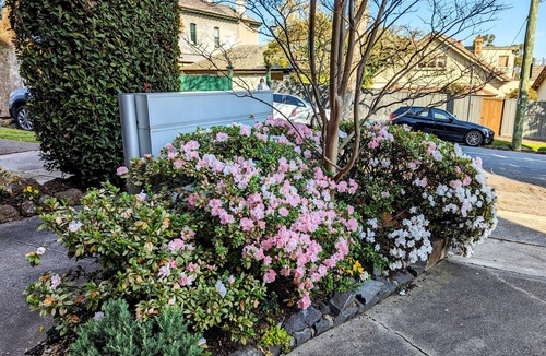 Hawthorn Apartment | Riverside Haven on City Doorstep