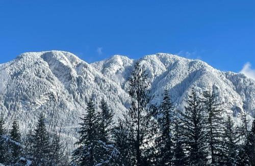 May Creek Apartment | Riverside Retreat