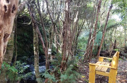 Horopito Bed & Breakfast | Riversong