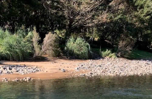 Thames Apartment | RiverSong Studio