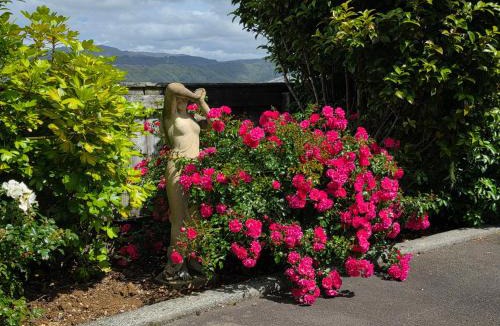 Trentham Bed & Breakfast | Riverstone Retreat Upper Hutt