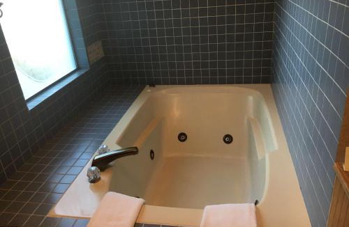 Clarkston Hotel | RiverTree Inn & Suites