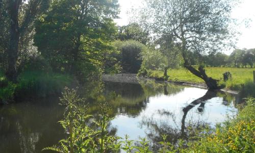 Bohal House | Riverview