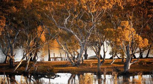 Cowirra Villa | Riverview Rise Retreats