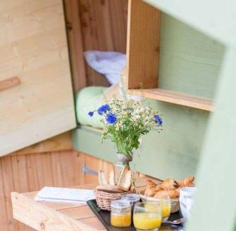 Sixt-sur-Aff Other | Rives Nature