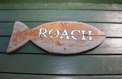 Hadlow Down House | Roach Hut