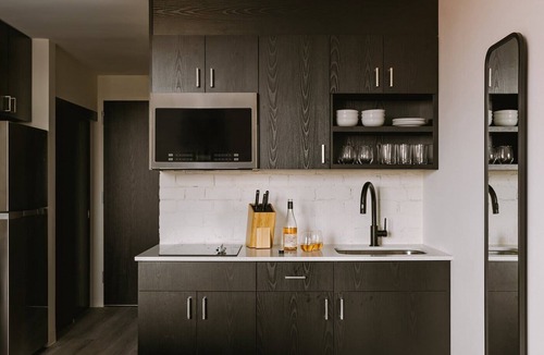 Downtown St. Paul Apartment | Roami at The Fitz