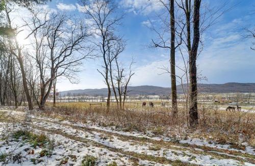 Bakers Summit House | Roaring Spring Horse Farm Getaway w/Game Room