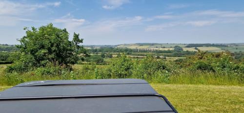 Tunley Other | Robin