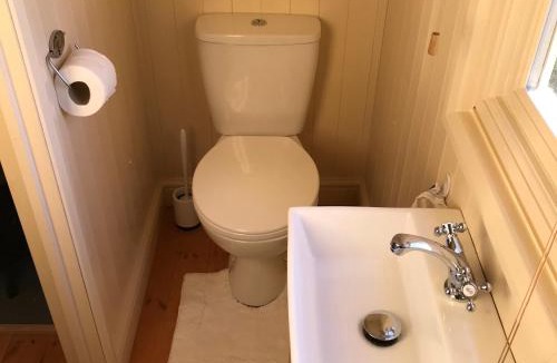 Tunley Other | Robin