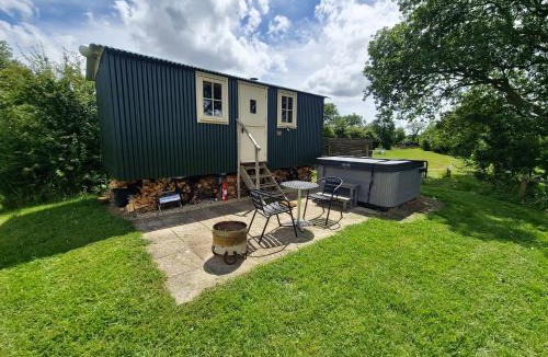 Tunley Other | Robin