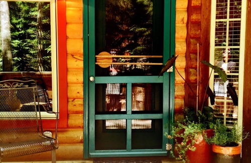 Fayetteville Cabin | Robin's Hood Cabin New River Gorge National Park
