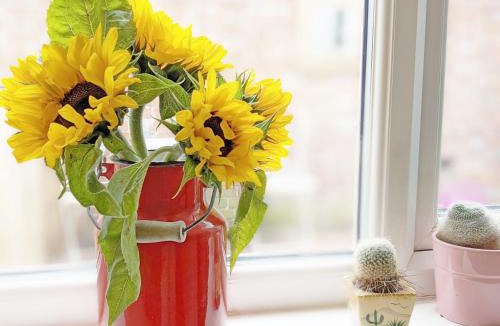 Billingshurst House | Robins Rest, Billingshurst