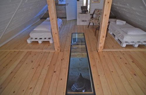 Karlovac House | Robinson Horseville