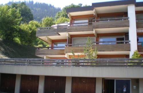 Leysin Apartment | Roc d'Orsay F66