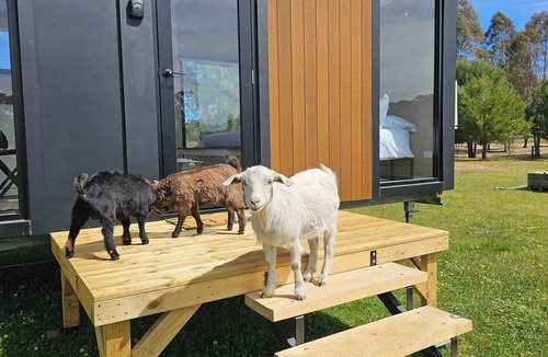 Myrtle Creek House | Roccos Retreat by Tiny Away