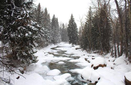 Red Lodge Resort | Rock Creek Resort