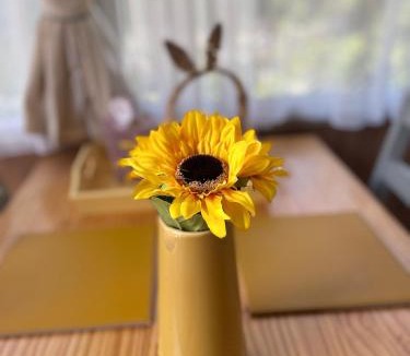 Hamworthy Resort | Rockley Valley TV36