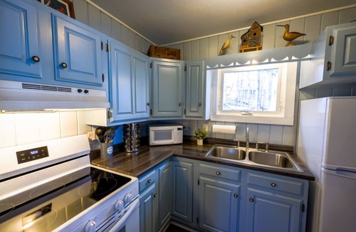Rockwood Cabin | Rockwood Hills · Lake House: Private Dock, Sauna, Pets and Kayaks