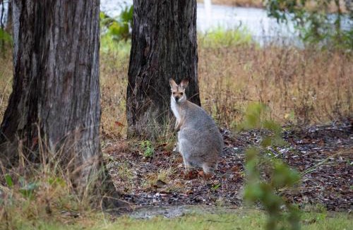 Glenwood House | Rocky Creek Escape by Tiny Away