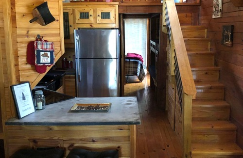 Mount Vernon Cabin | Rocky Ridge Rustic Retreat - 1 Bed/1 Loft/Bunk Beds