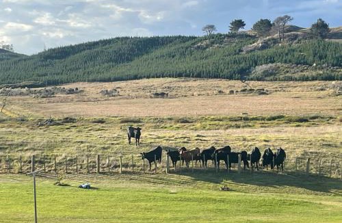 Kaipara District House | Roddy and Shelles Chateau