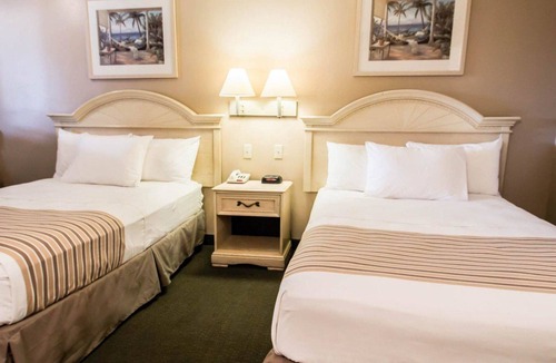 Apopka Hotel | Rodeway Inn Apopka South